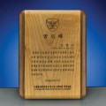 �Ӹ� ������� ���� ���� ������ SW-005-01